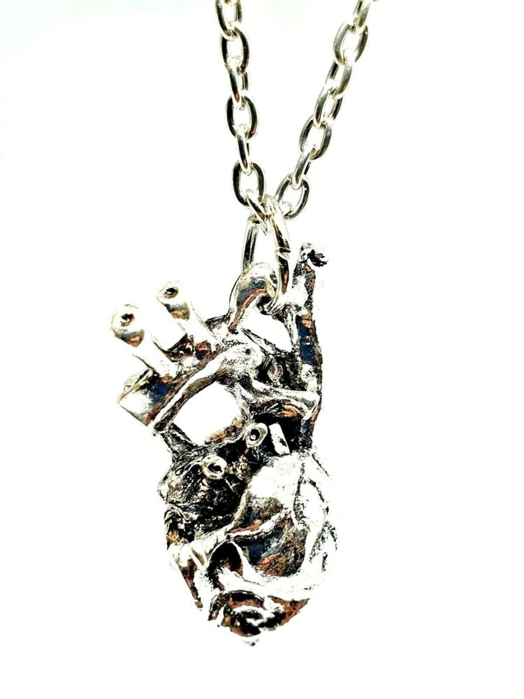 Anatomical Heart Pendant 18" Necklace Silver Biology Human Alternative